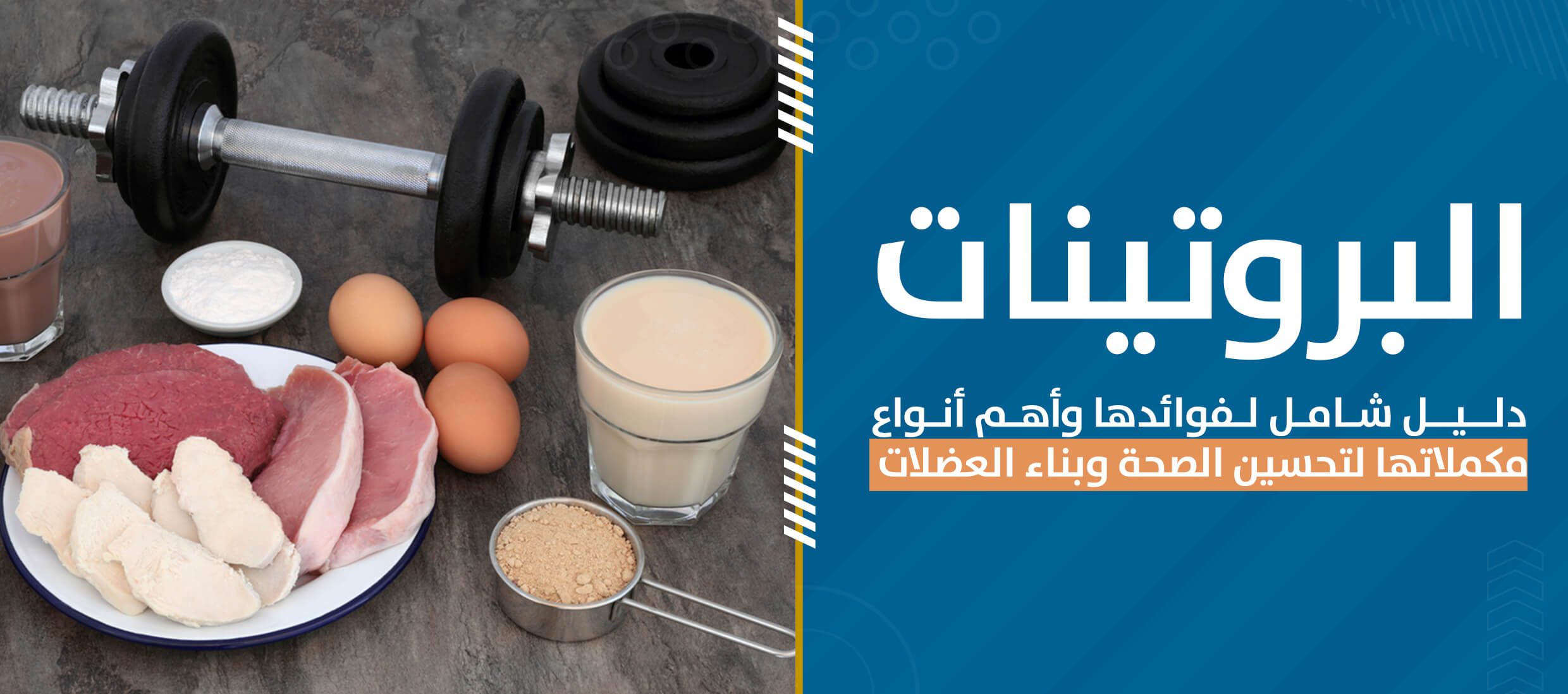البروتينات هي الركيزة الأساسية لتحقيق الأهداف، سواء كانت بناء العضلات، تحسين الأداء، أو تعزيز الصحة العامة