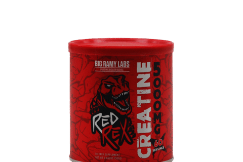 BIG RAMY CREATINE 300 GM