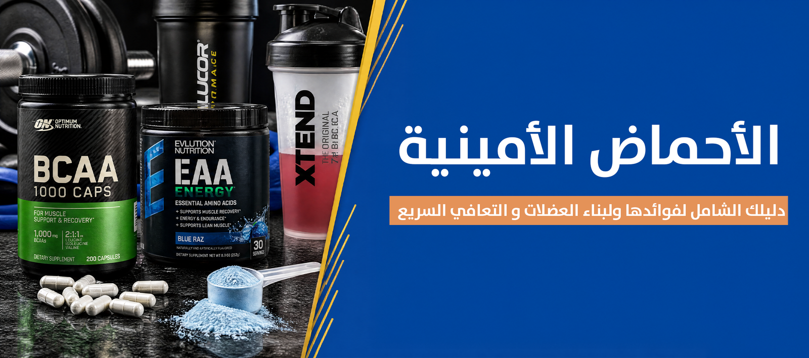 magnific prompt create a wideformat arabic sports nutrition 67554 Protein House